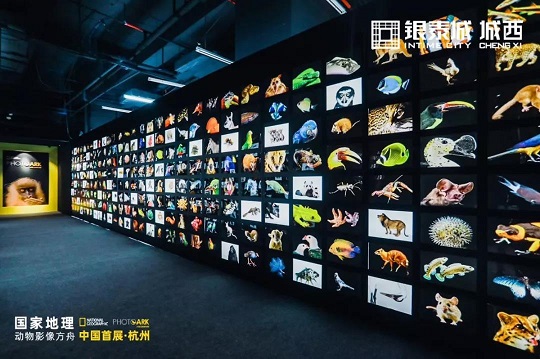 地理小.jpg 地理小.jpg