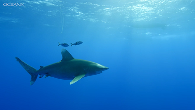 微信圖片_20210826172530.png 微信圖片_20210826172530.png